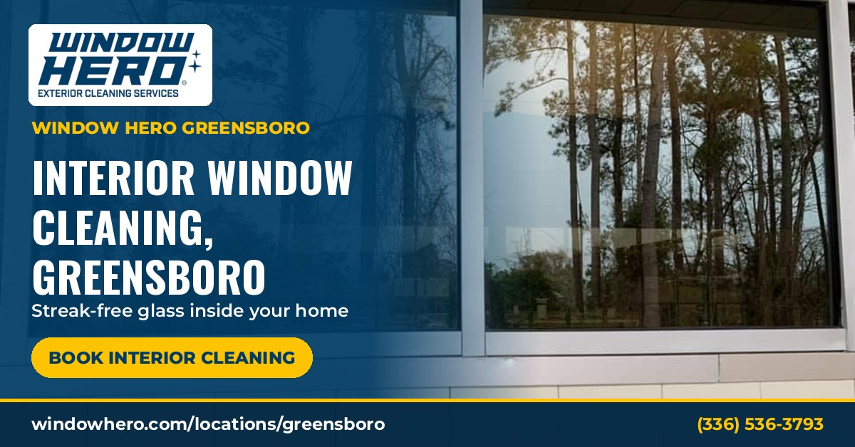 Clear windows looking out to tall pines after interior window cleaning, with the Window Hero Greensboro logo and a book interior cleaning button